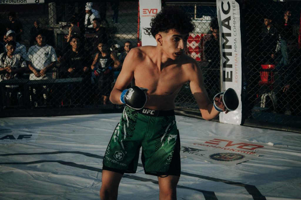 UFC 327: Streaming Procházka vs. Ulberg Made Easy